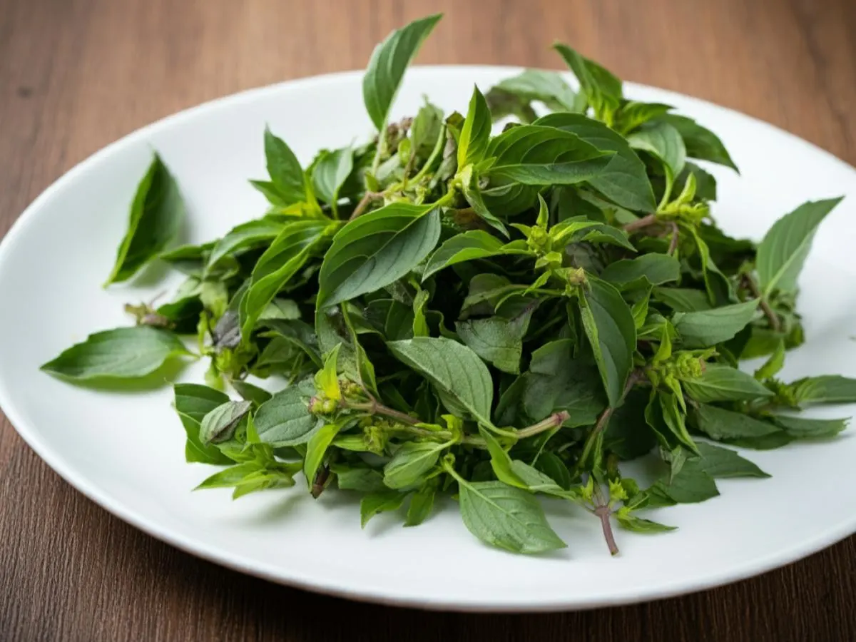 Thai Basil Thai Basil