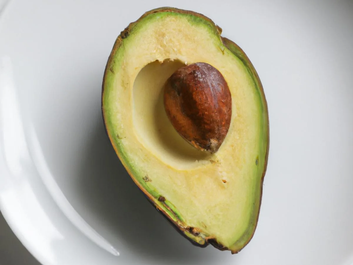 Avocado Avocado
