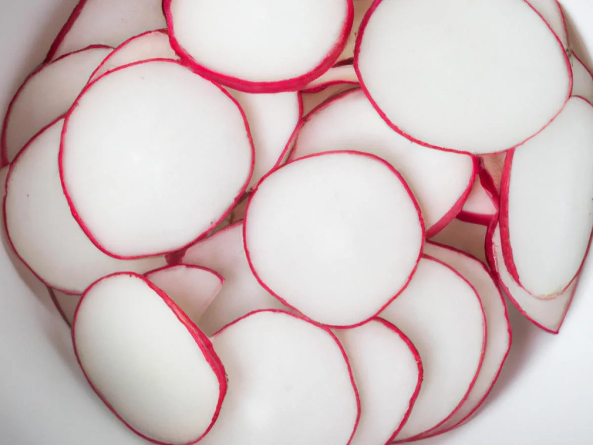 Radish Radish
