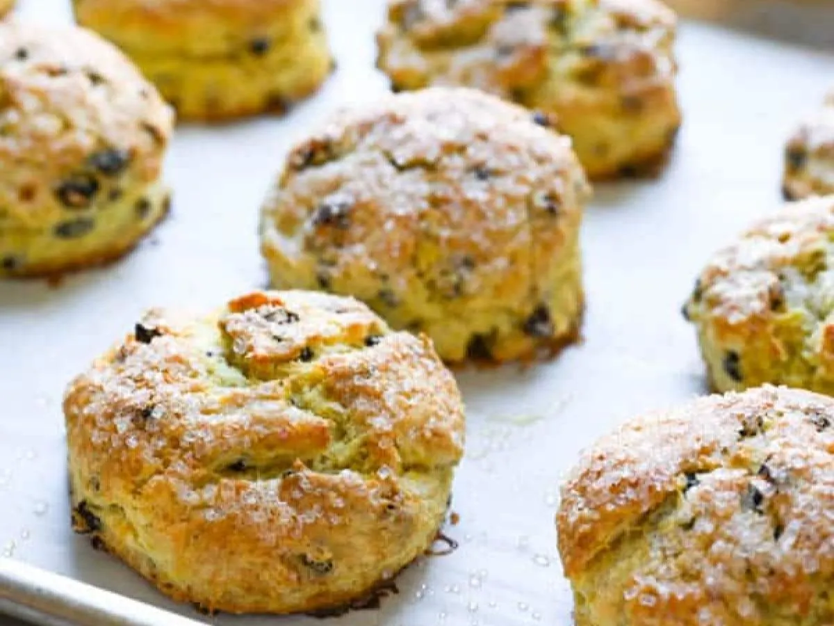 Vegan Orange & Currant Scone Vegan Orange & Currant Scone