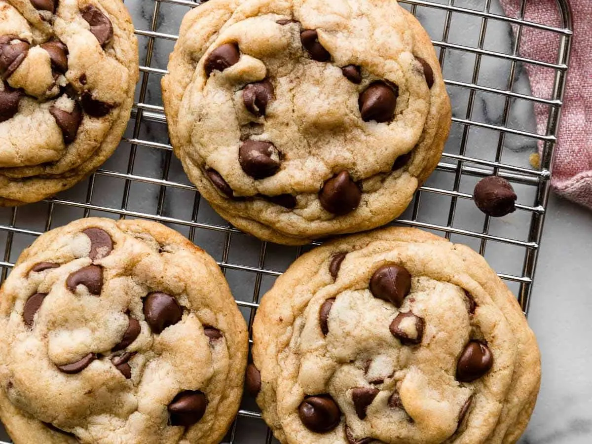 Chocolate Chip Cookie Chocolate Chip Cookie