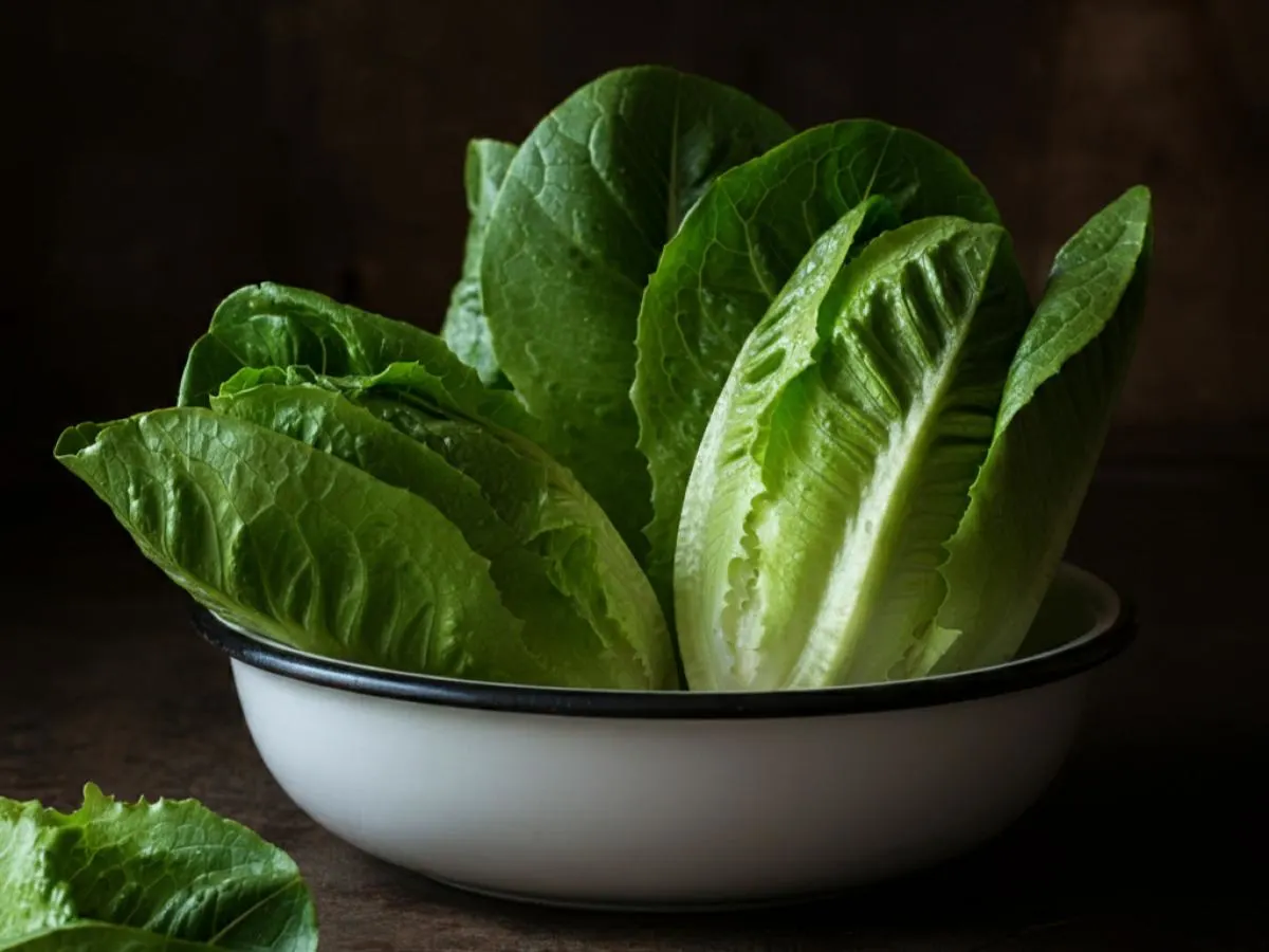 Organic Romaine