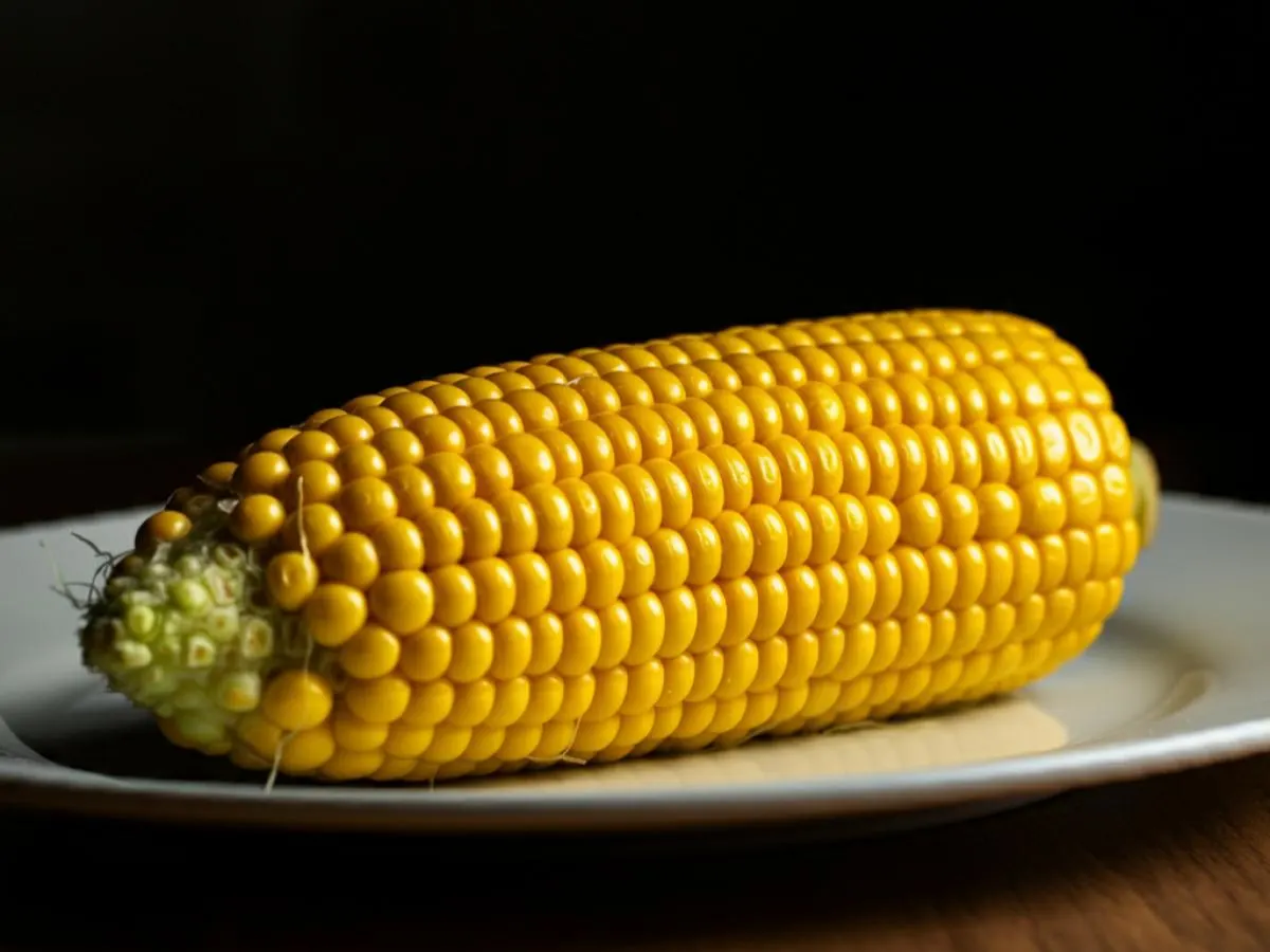 Corn on a Cob