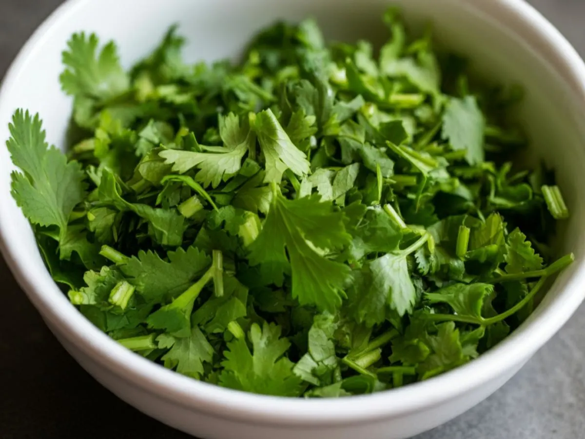 Cilantro