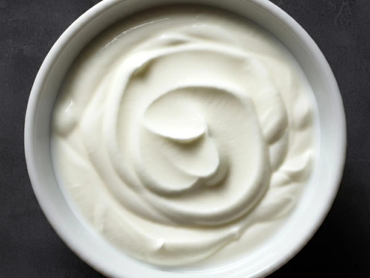 Plain Yogurt Plain Yogurt