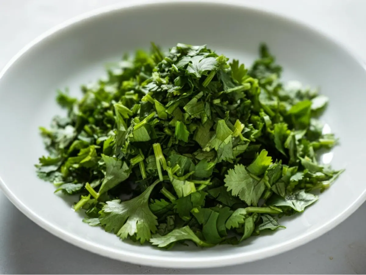 Cilantro Cilantro