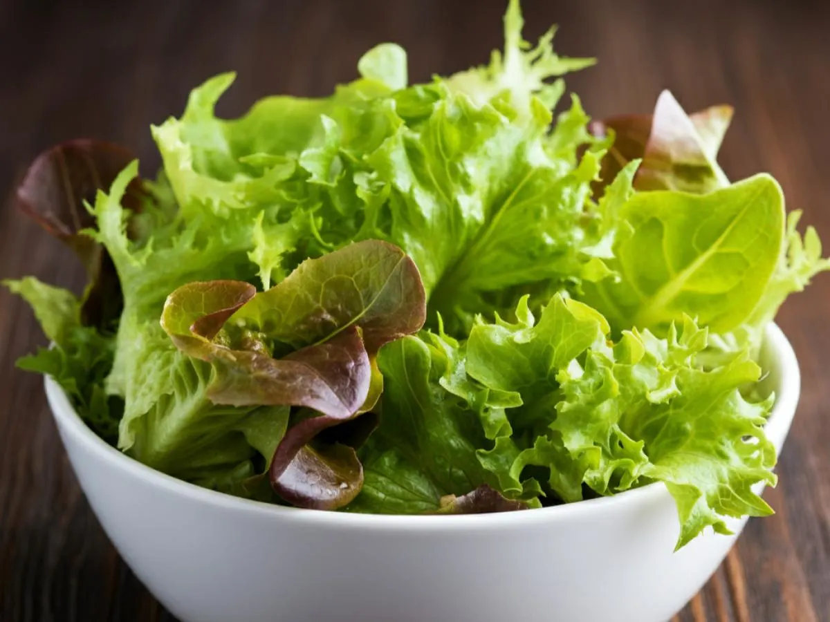 Spring Mix