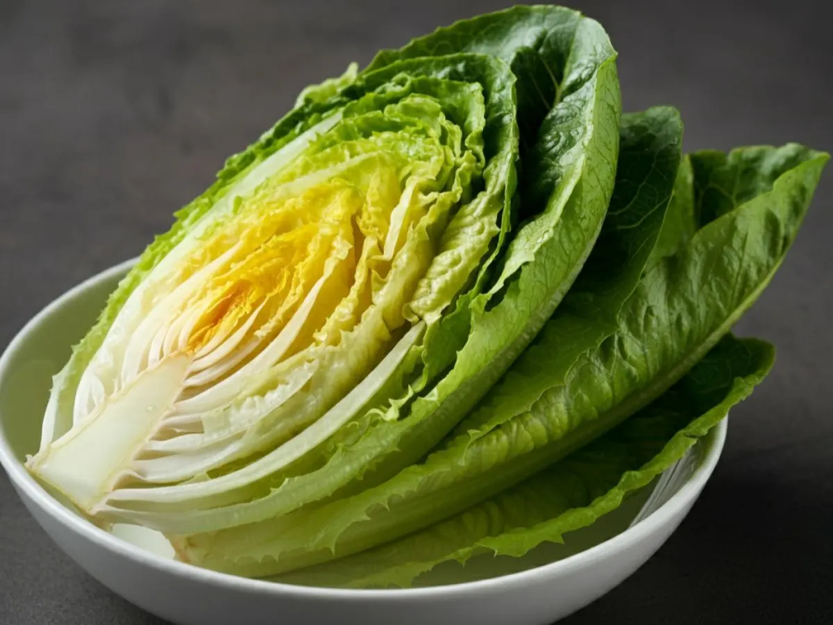Romaine