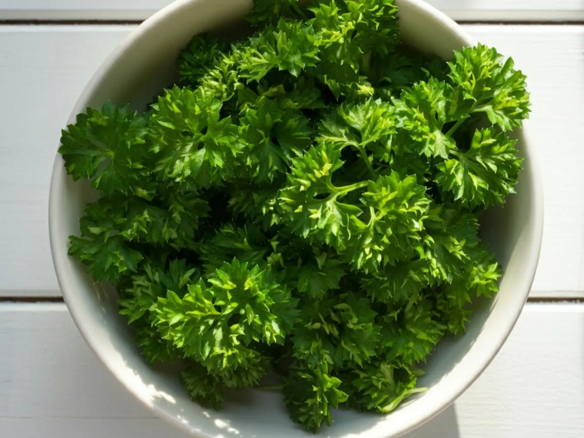 Parsley Parsley