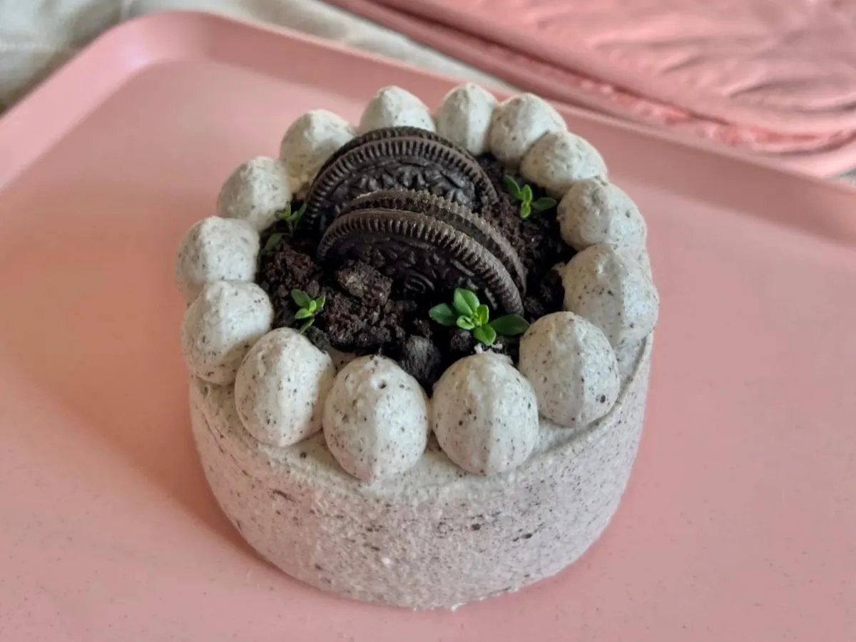 Chocolate Oreo Basque Cheesecake