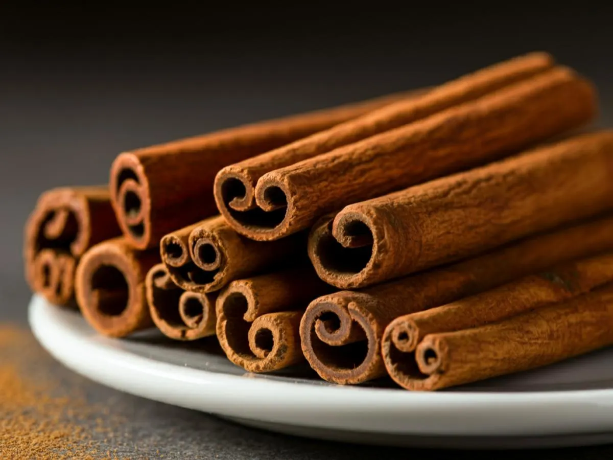 Cinnamon Stick Cinnamon Stick