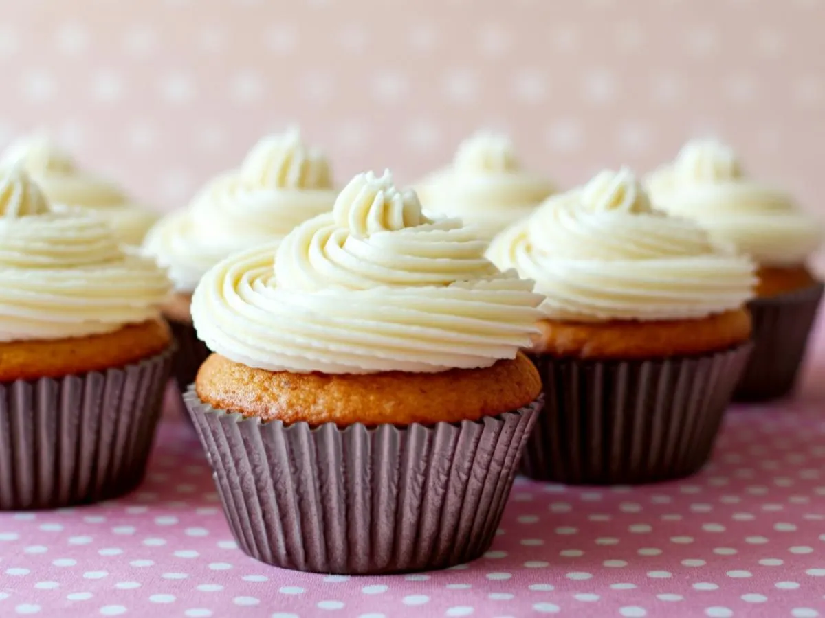 Vanilla Cupcake Vanilla Cupcake