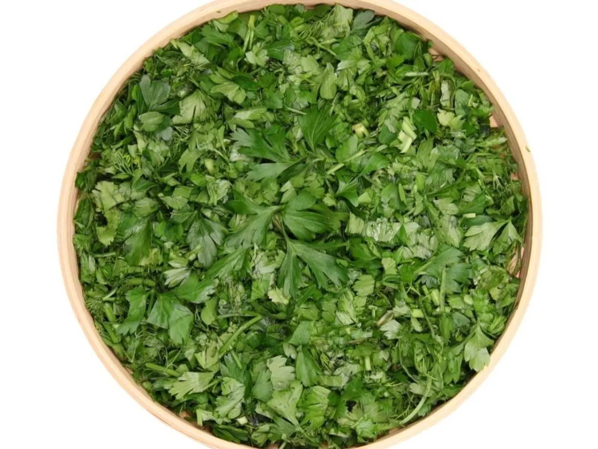 Cilantro