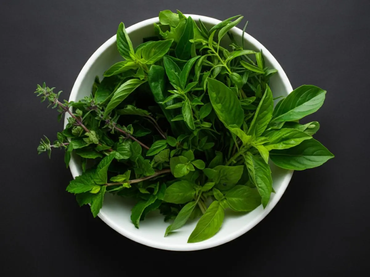 Fresh Herbs Fresh Herbs