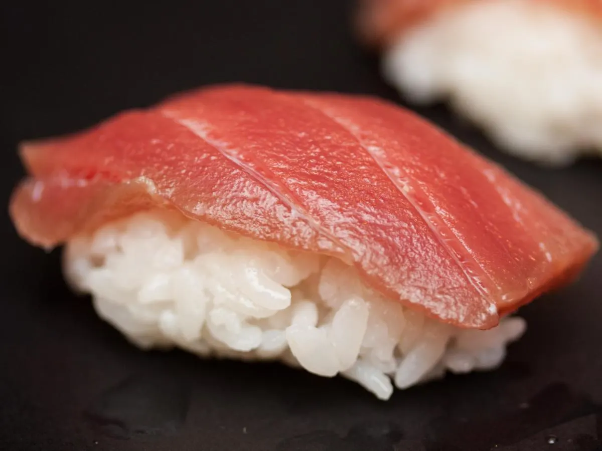Maguro Nigiri Maguro Nigiri
