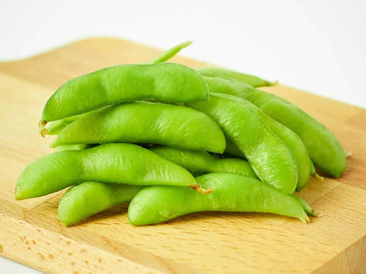 Metapod (Edamame) Metapod (Edamame)
