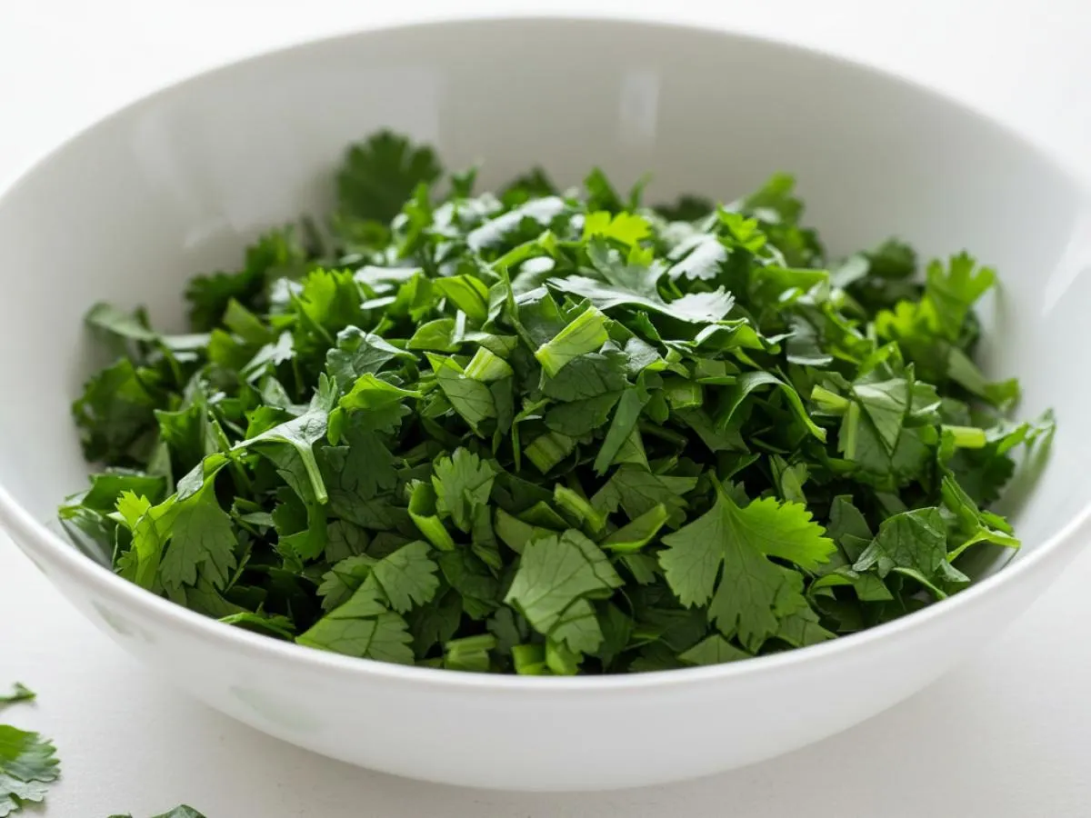 Cilantro Cilantro