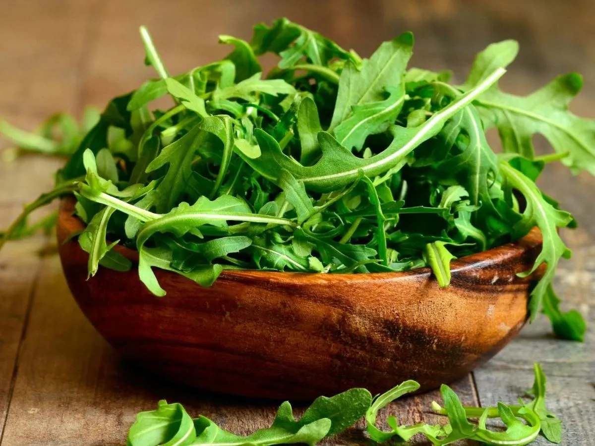 Arugula Arugula