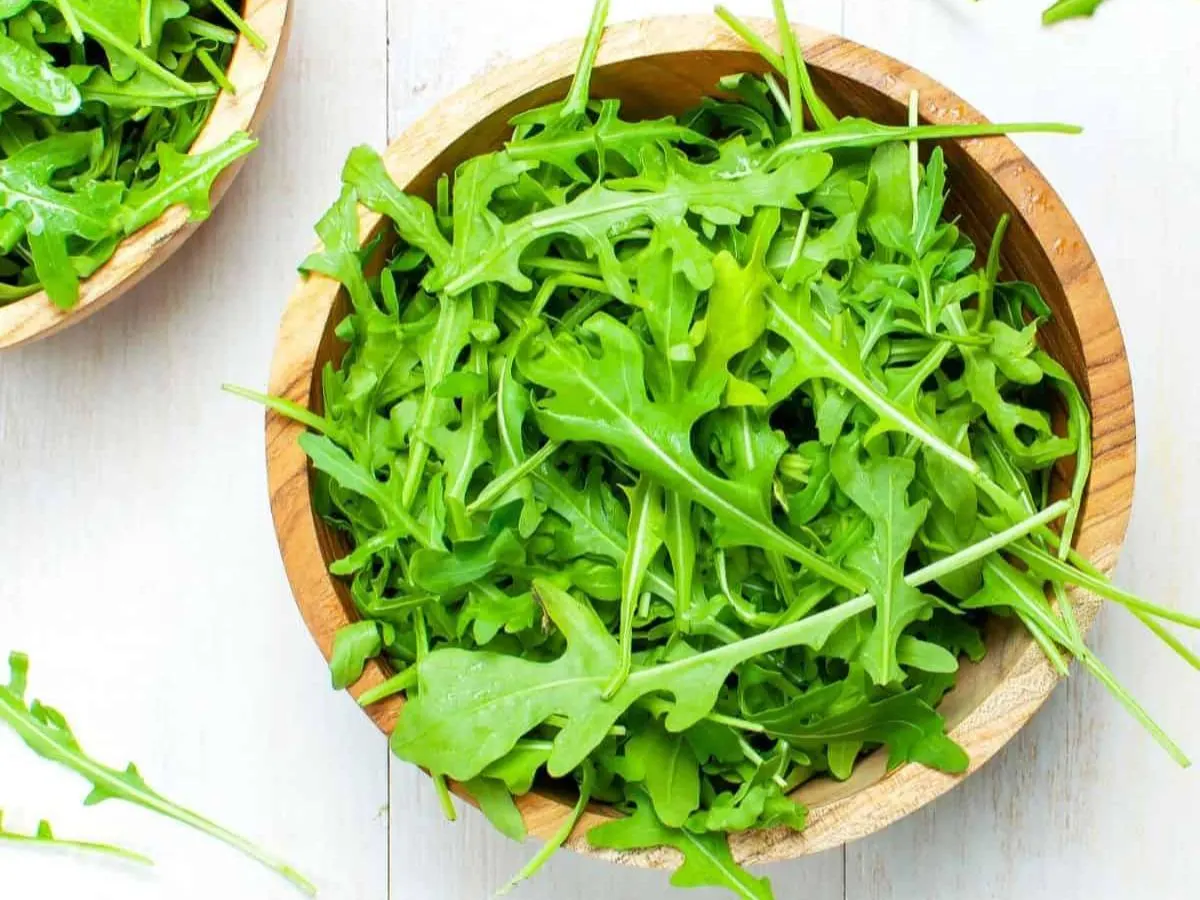 Arugula Arugula