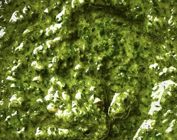 Pesto Pesto