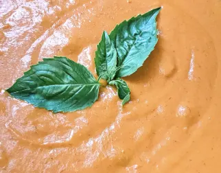 Vodka Sauce Vodka Sauce
