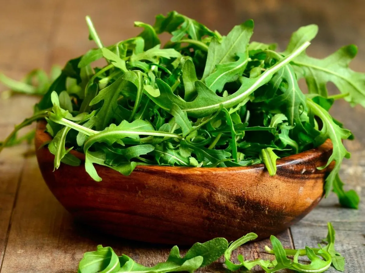 Arugula Arugula