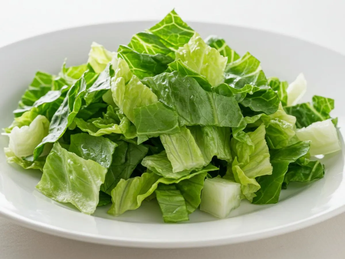 Romaine Lettuce Romaine Lettuce