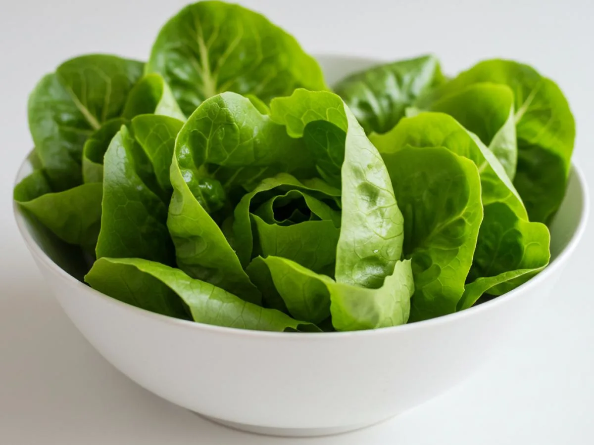 Lettuce Lettuce