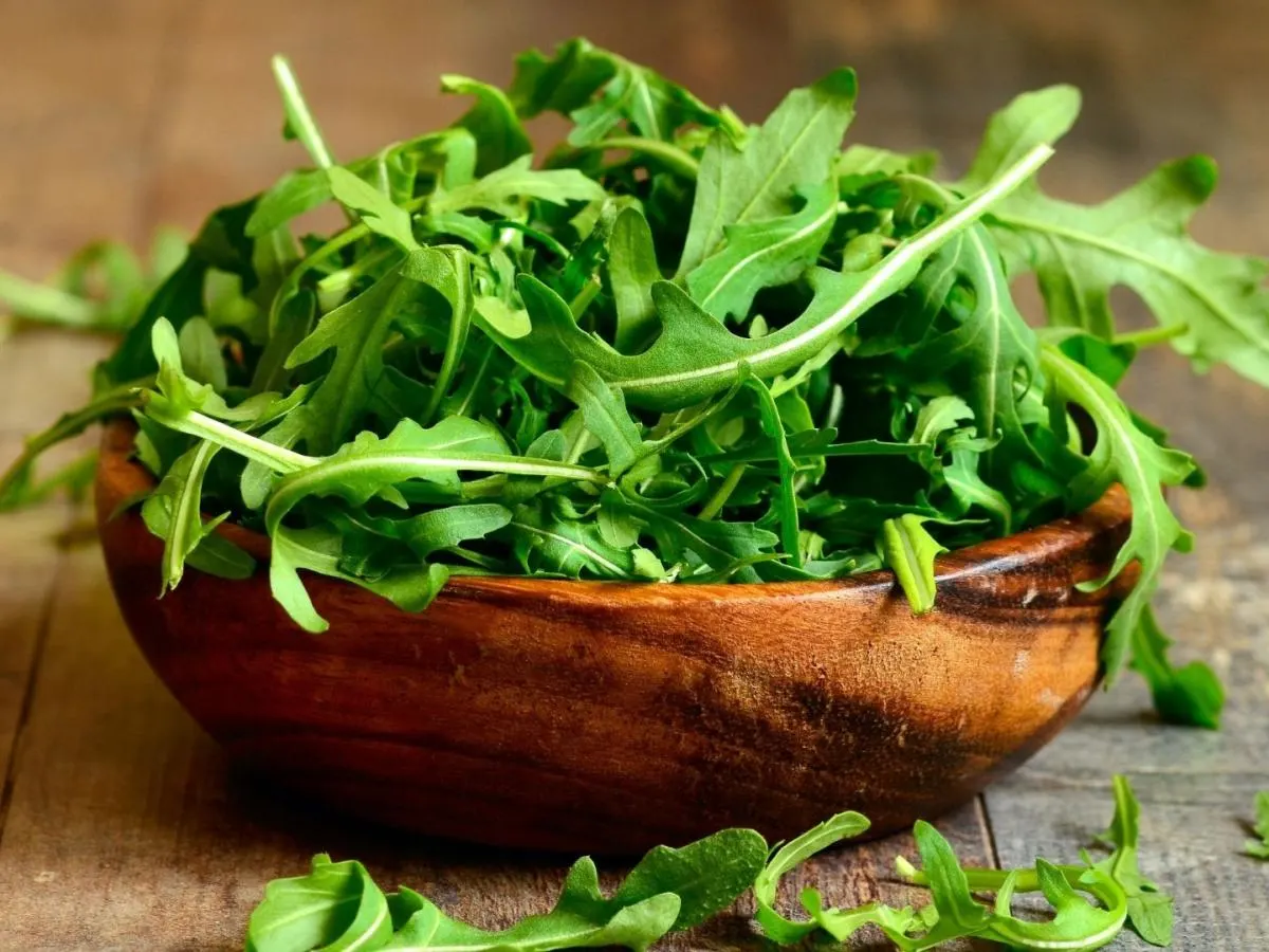 Arugula