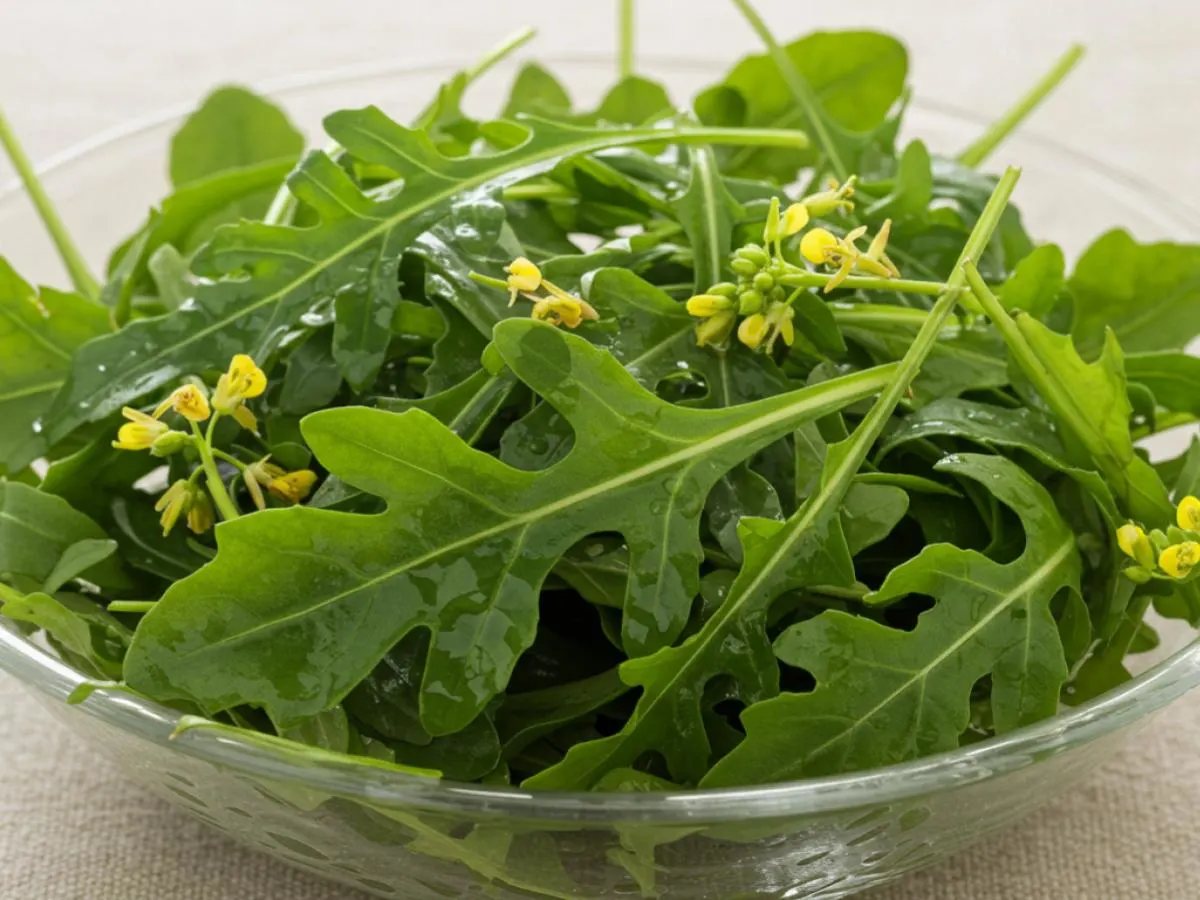 Arugula Arugula