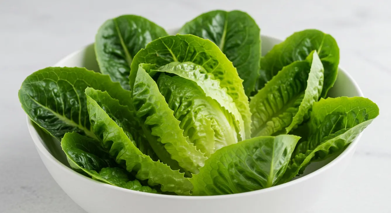Organic Romaine