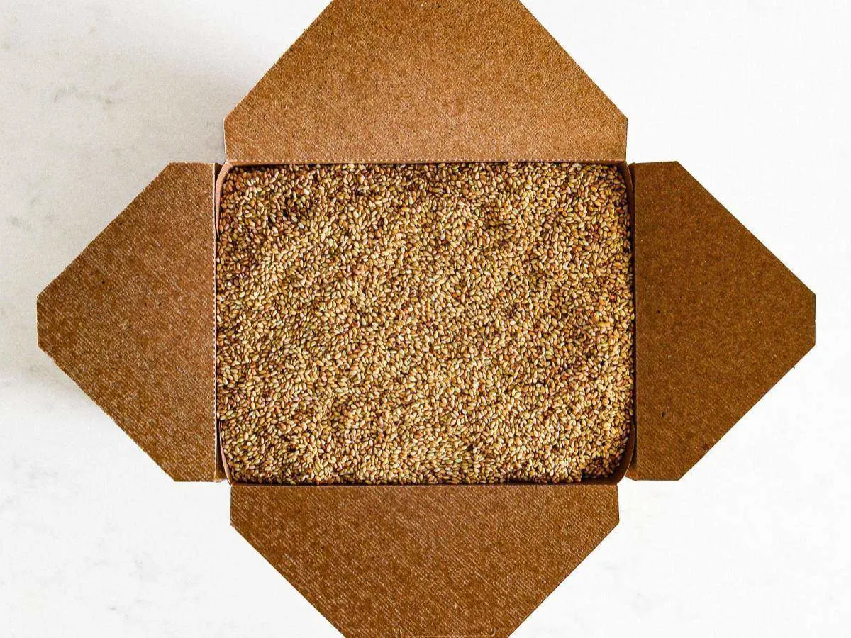 Sesame Seeds