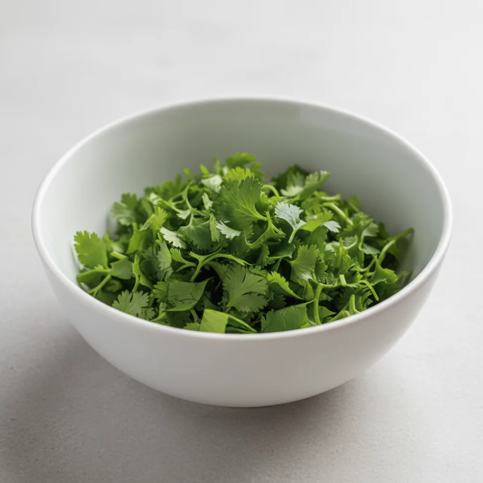 Cilantro
