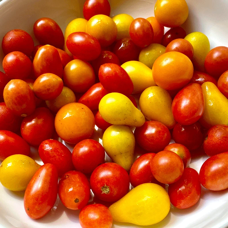 Cherry Tomatoes