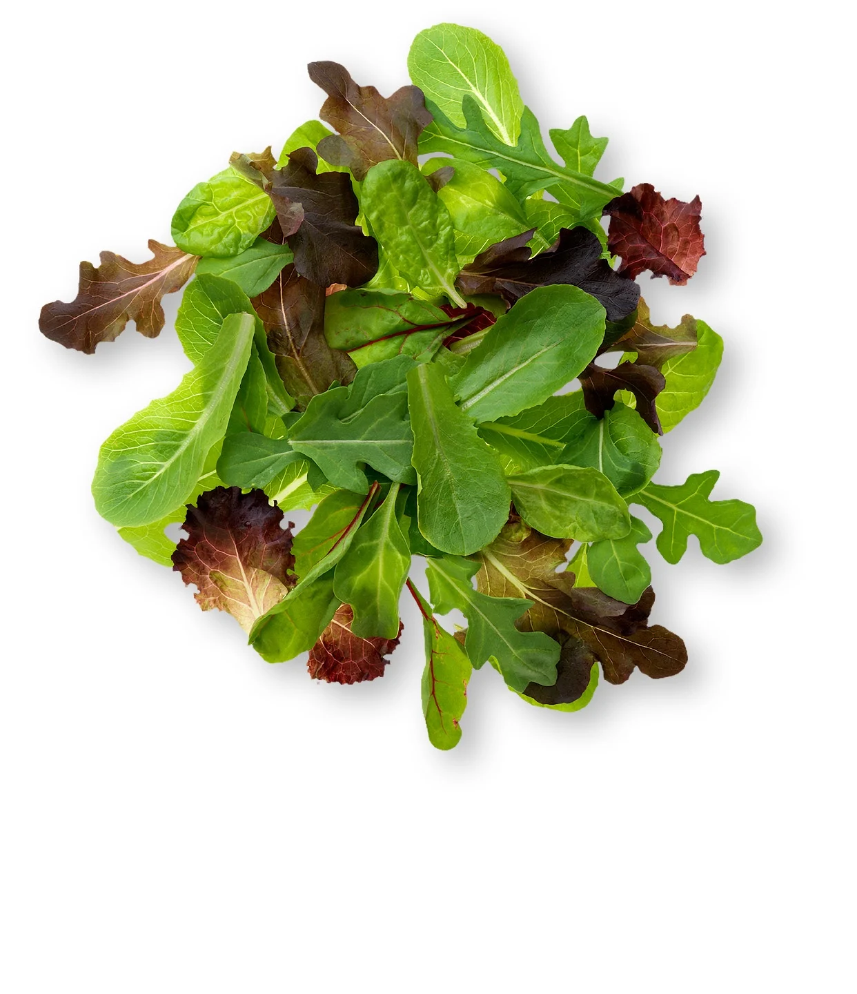 Mixed Greens