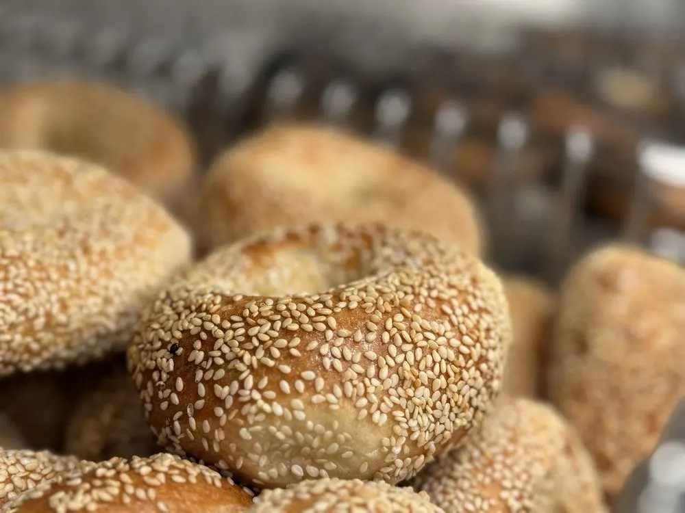 Sesame Bagel