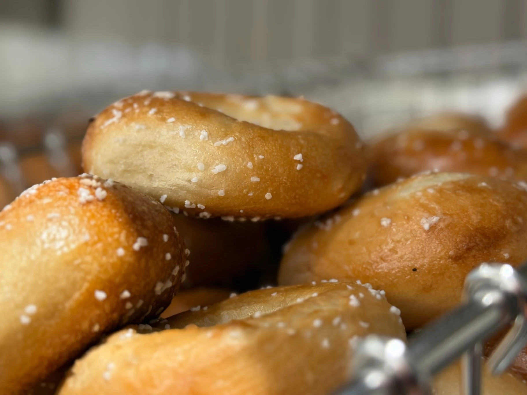 Salt Bagel