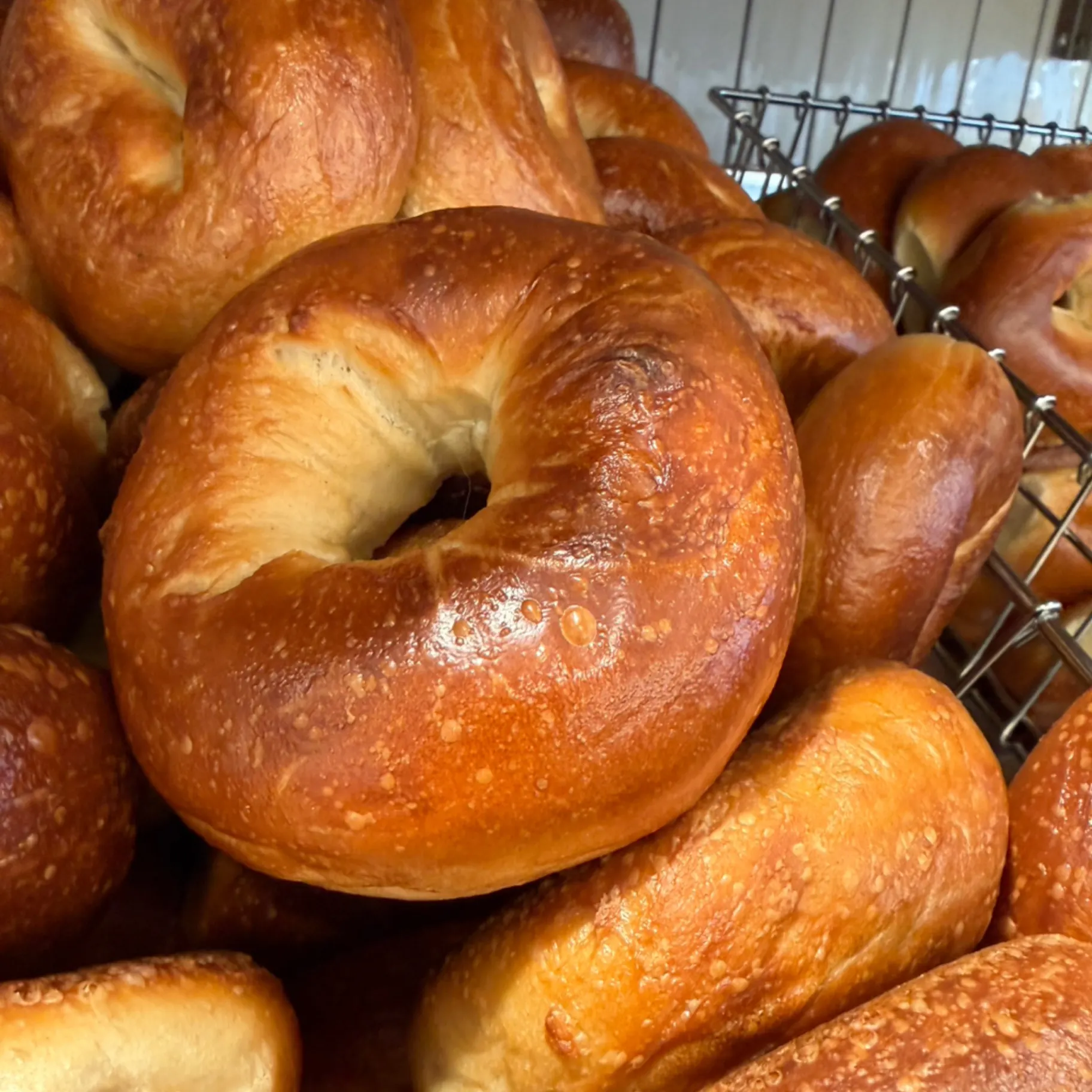Plain Bagel