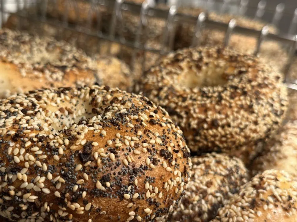 Everything Bagel