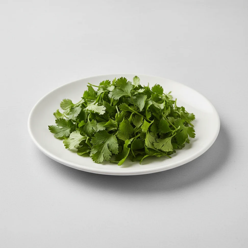 Fresh Cilantro