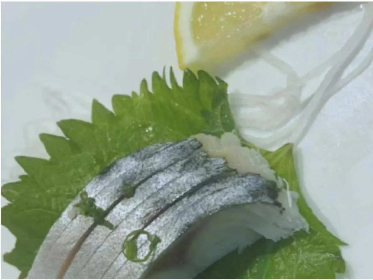 Mackerel (Shima Soba) Sashimi