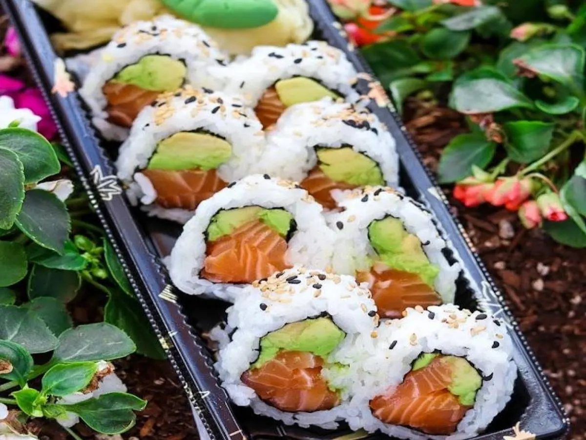 Salmon Avocado Roll