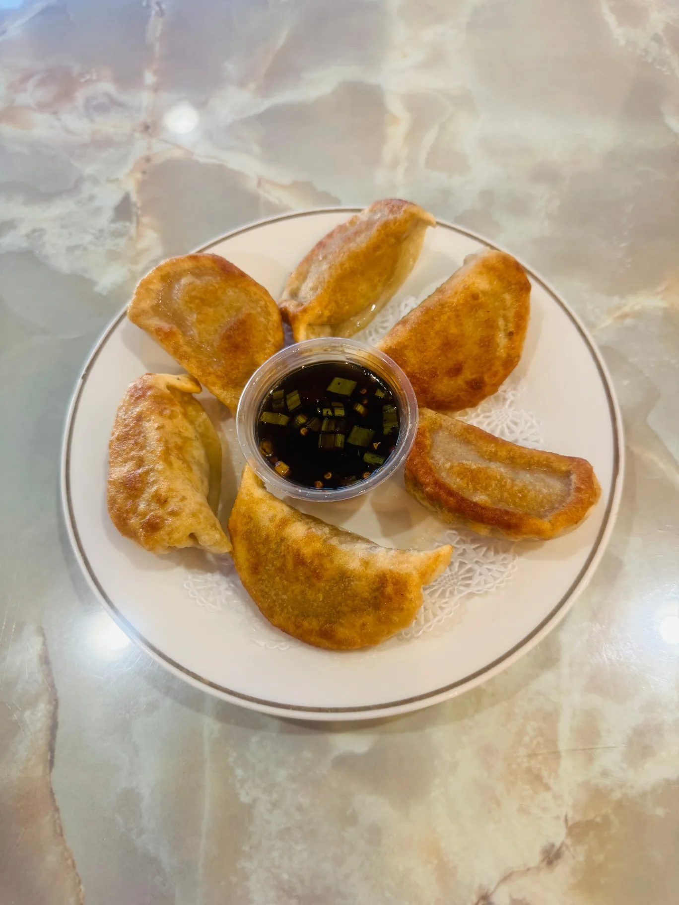 Fried Pork Dumplings