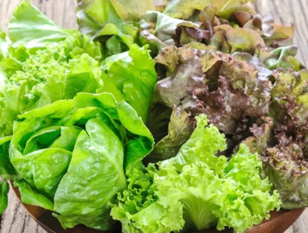 Organic Mixed Greens