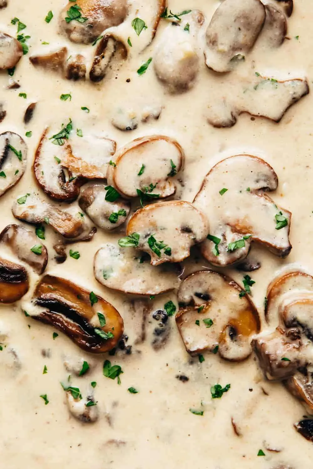 Creamy Mushroom Sauce (Gluten-Free)