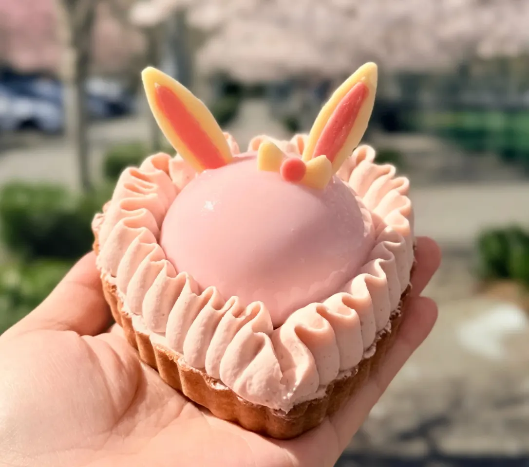 Strawberry Mousse Tart
