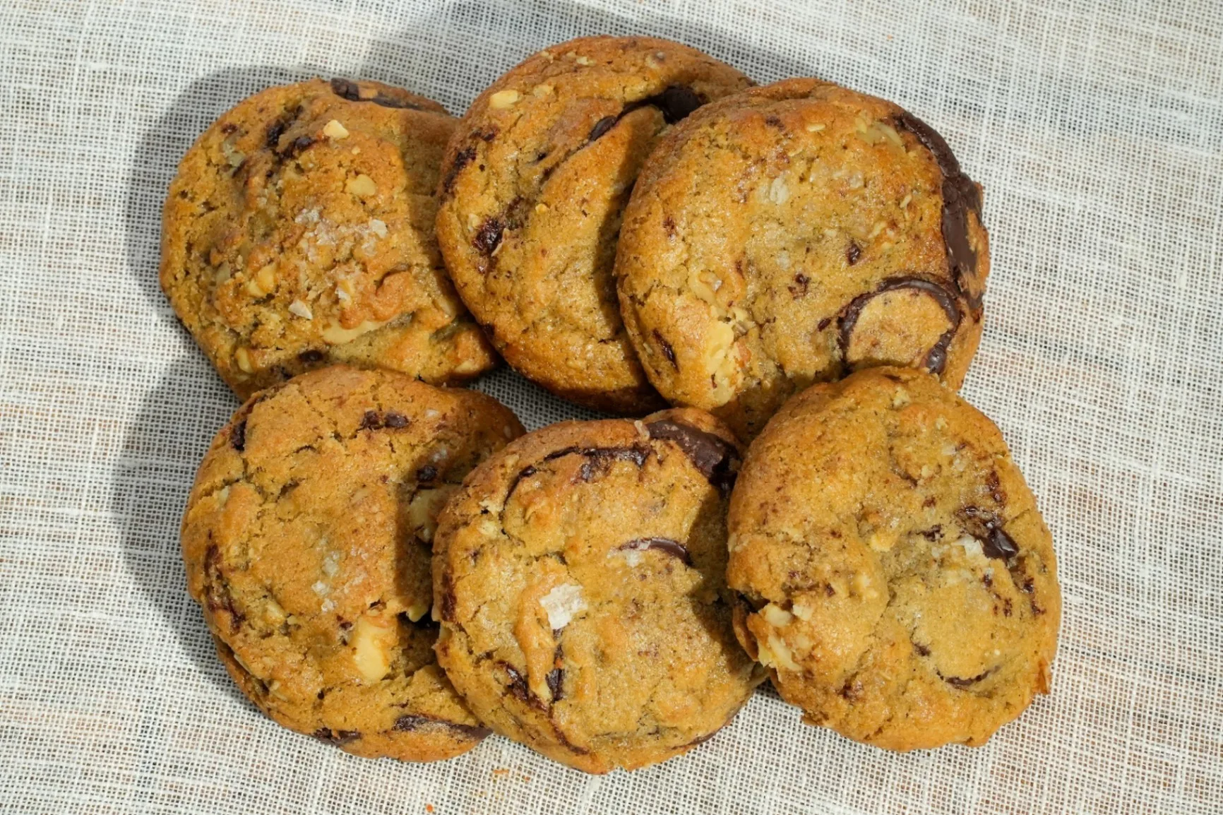Walnut Chocolate Chip Cookie