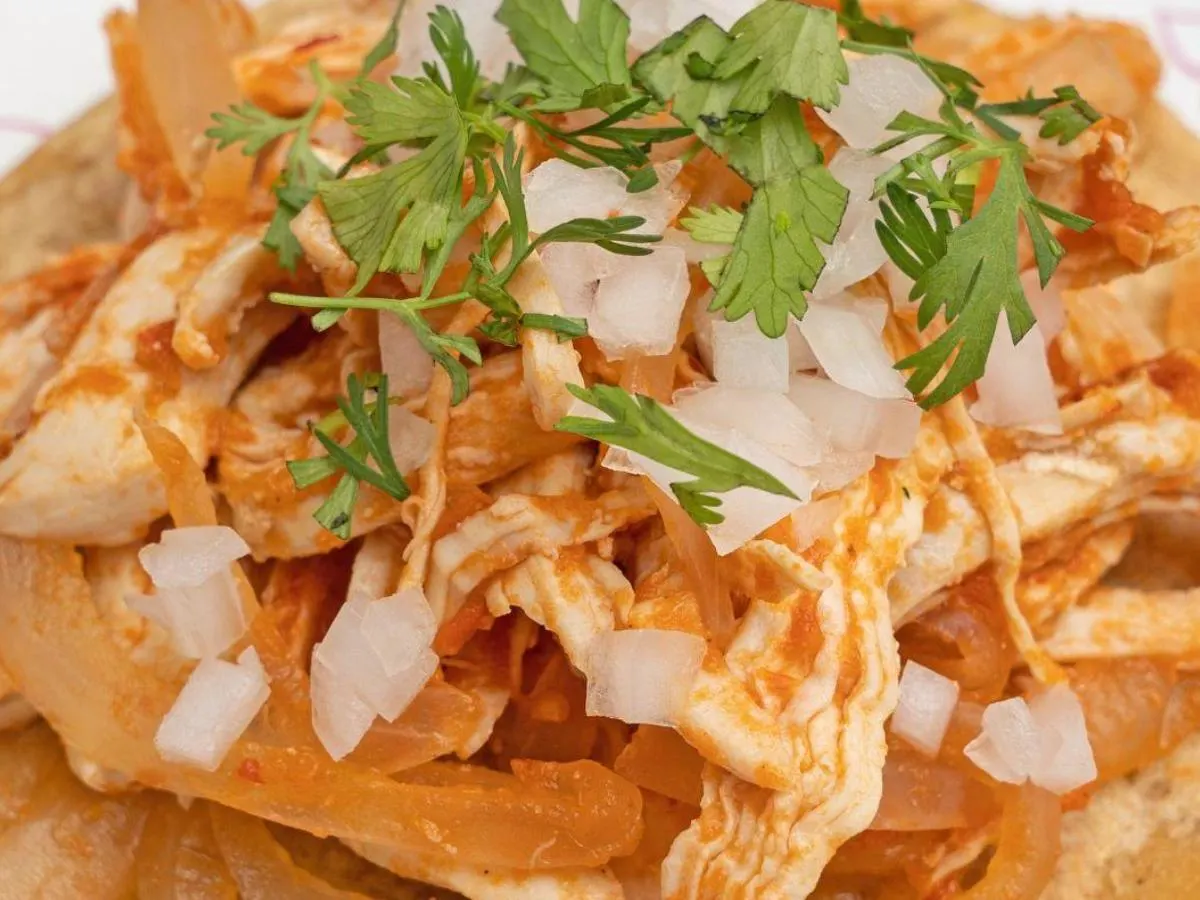 Guisado - Tinga de Pollo (Chicken Breast)