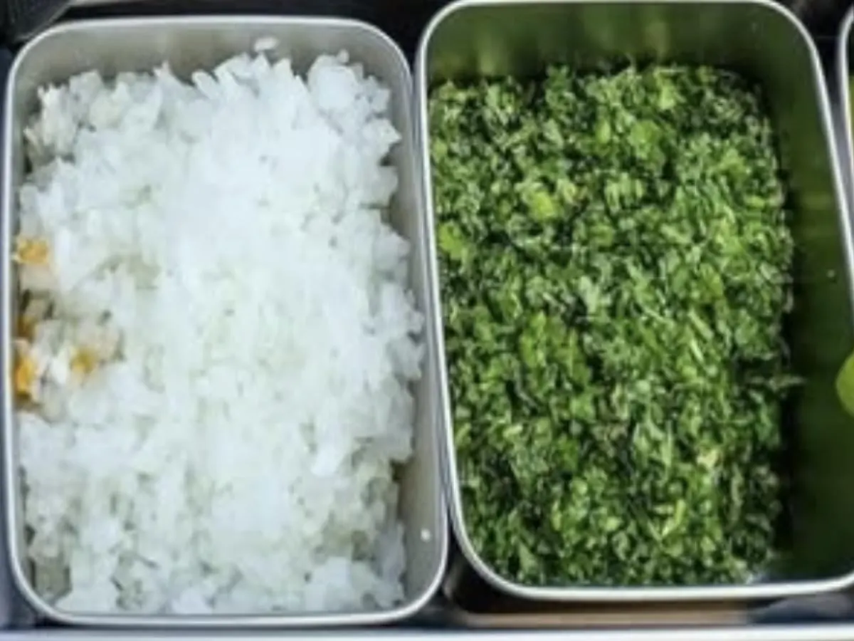 Onions & Cilantro