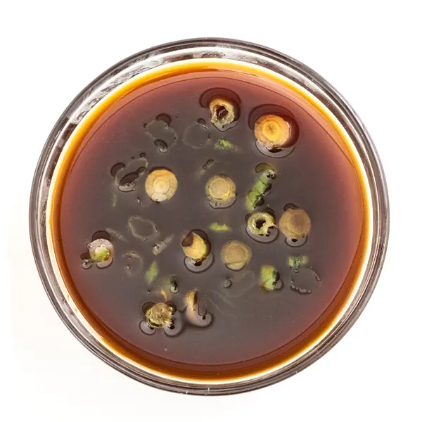 Ponzu Fresh